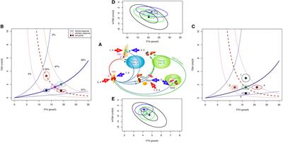 Recent Advances in Thyroid Hormone Regulation: Toward a New Paradigm for Optimal Diagnosis and Treatment